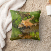 Coussin États-Unis, Minnesota, Sandstone, faune du Minneso (Couverture)