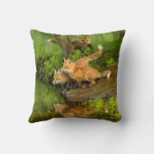 Coussin États-Unis, Minnesota, Sandstone, faune du Minneso (Verso)