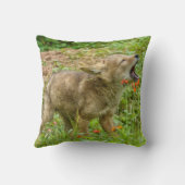 Coussin États-Unis, Minnesota, Sandstone, faune du Minneso (Verso)