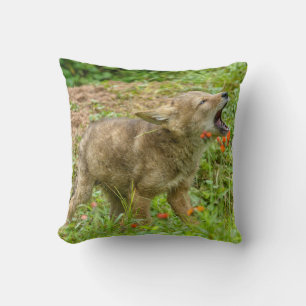 Coussin États-Unis, Minnesota, Sandstone, faune du Minneso