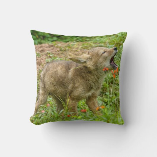 Coussin États-Unis, Minnesota, Sandstone, faune du Minneso (Recto)