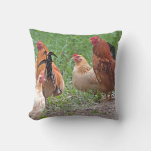 Coussin États-Unis, Nebraska. Poules