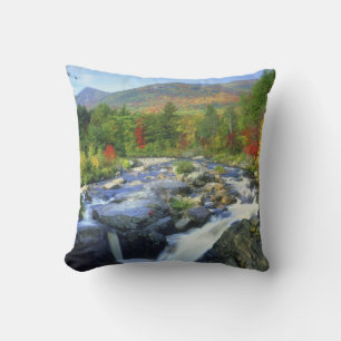 Coussin États-Unis, New York. Une cascade dans l'Adirondac