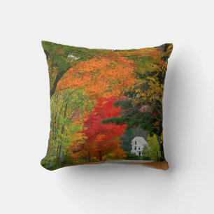 Coussin États-Unis, Nouvelle-Angleterre, New Hampshire, An