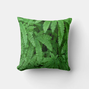 Coussin États-Unis, Oregon, Silverton. Adiante pédatée