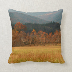 Coussin États-Unis, Tennessee. Cades Cove In Smoky Mountai