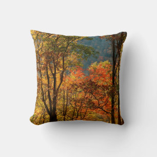 Coussin États-Unis, Tennessee. Chute