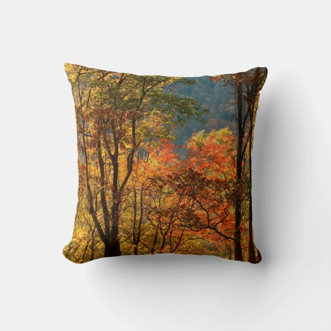 Coussin États-Unis, Tennessee. Feuillage d'automne (Recto)