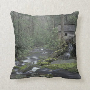 Coussin États-Unis, Tennessee, Great Smoky Mountains Natio