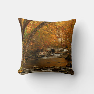Coussin États-Unis, Tennessee. Ruisseau Rushing Mountain 