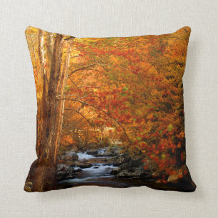 Coussin États-Unis, Tennessee. Ruisseau Rushing Mountain 2