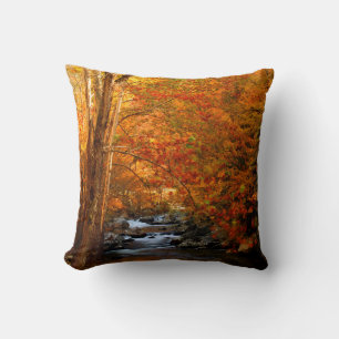 Coussin États-Unis, Tennessee. Rushing Mountain Creek 2