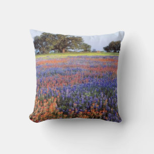 Coussin États-Unis, Texas, Llano. Bluebonnets et redbonne