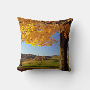 Coussin États-Unis, Vermont. Paysage agricole près de Sout