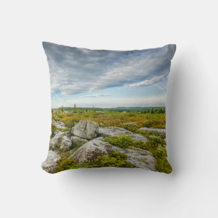 Coussin États-Unis, Virginie-Occidentale, Davis. Paysage à