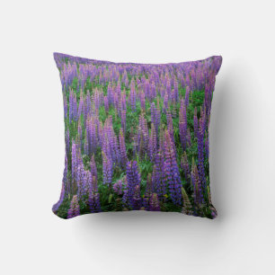 Coussin États-Unis, Washington, comté de Clallam, Lupine