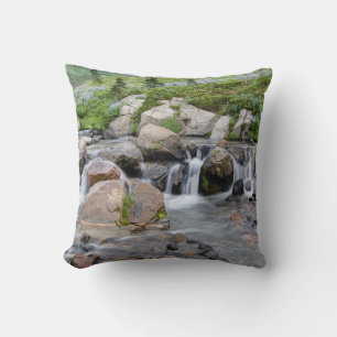 Coussin États-Unis, Washington, Mt. Rainier National Park