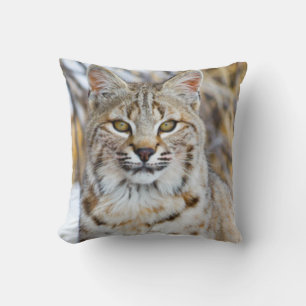 Coussin États-Unis, Wyoming, Portrait de Lynx roux