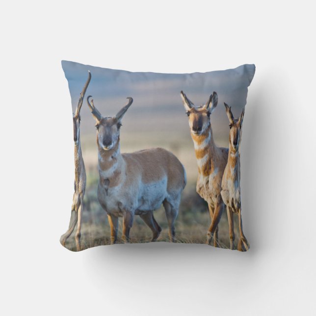 Coussin Etats-Unis, Wyoming, quatre dollars d'antilope Pro (Recto)