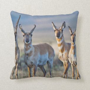 Coussin Etats-Unis, Wyoming, quatre dollars d'antilope Pro