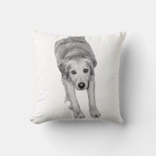 Coussin Étendue d'automne confortable