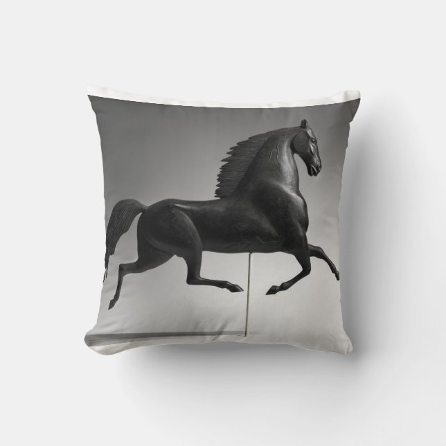 Coussin Étiquette du centre Luce (Recto)