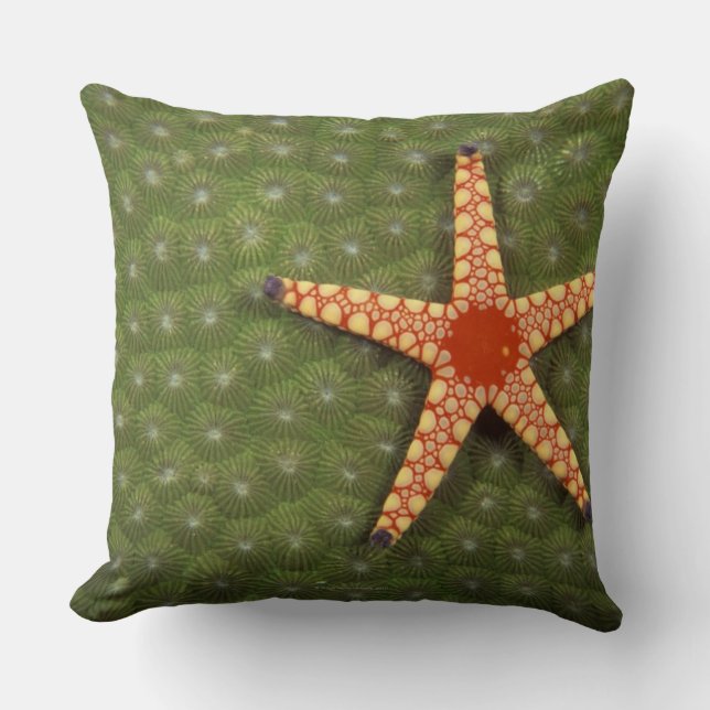 Coussin Étoile de mer (Recto)