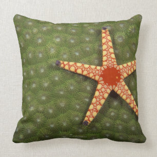 Coussin Étoile de mer