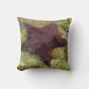 Coussin Étoile de mer sous-marine aux Bahamas