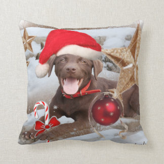 Coussin Étoile de Noël de laboratoire de chocolat