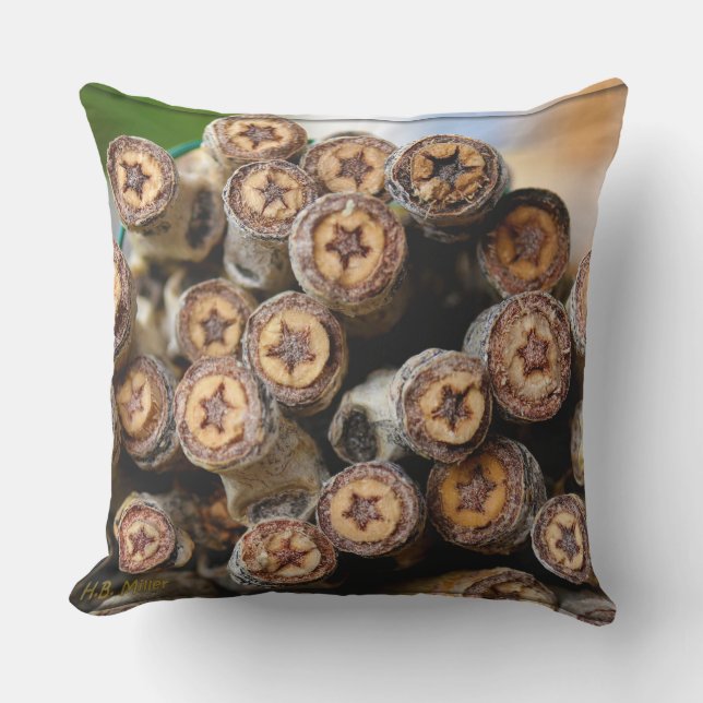 Coussin Etoiles le long du Rio Grande Cotton Wood Trees (Recto)
