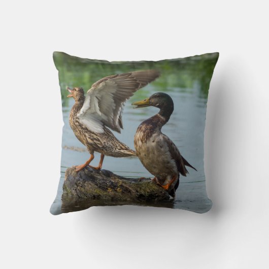 Coussin Excusez-moi (Verso)