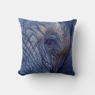 COUSSIN EXPÉRIENCE MARCHER AVEC LES ÉLÉPHANTS COMMENT E