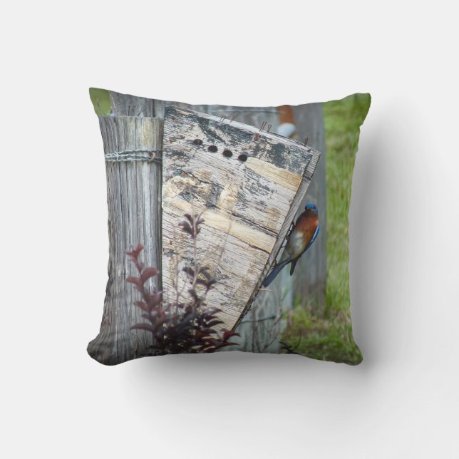 Coussin extérieur (Recto)