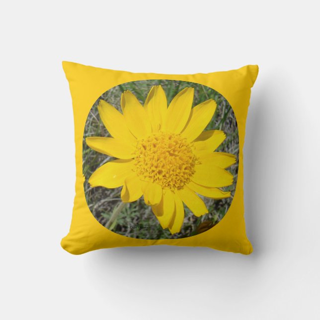 Coussin F34w Sneezeweed jaune fleur sauvage (Recto)