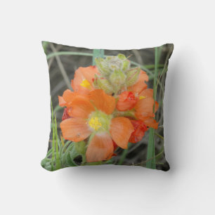 Coussin F40 Fleurs sauvages orange Malope à feuilles de Co
