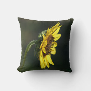 Coussin F43 Fleur sauvage jaune Susan aux yeux noirs