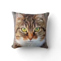 Face de chat aux yeux vert et jaune mignon