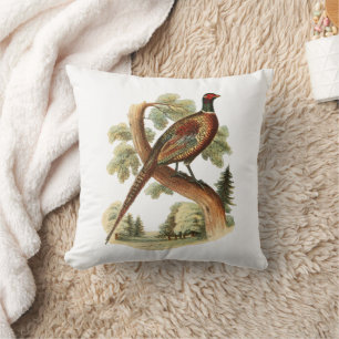 Coussin Faisan ancien sur une branche avec dessin en coule