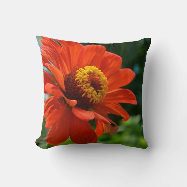 Coussin Faisée orange, zinnia, cosmo (Recto)