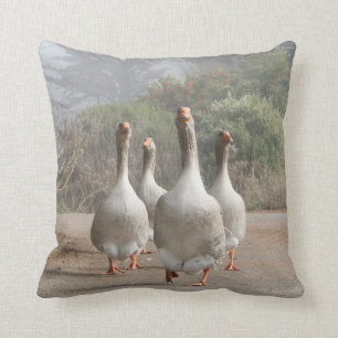 Coussin Famille courante des oies