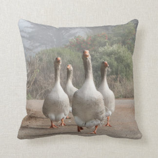 Coussin Famille courante des oies