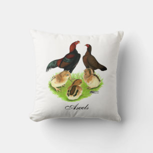 Coussin Famille de poulets Aseel Black Red