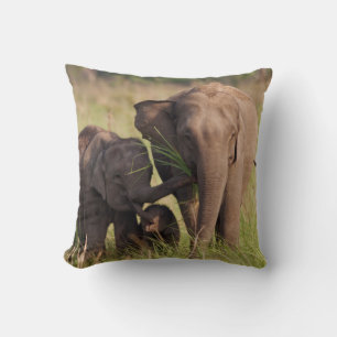 Coussin Famille d'éléphants d'Asie indiens dans la savane
