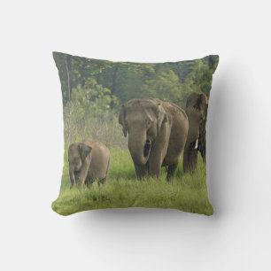 Coussin Famille d'éléphants indiens
