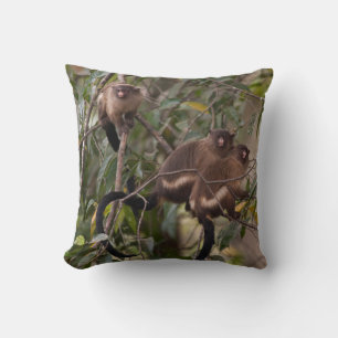 Coussin Famille des singes de Marmoset