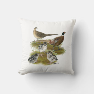 Coussin Famille du Faisan à collier