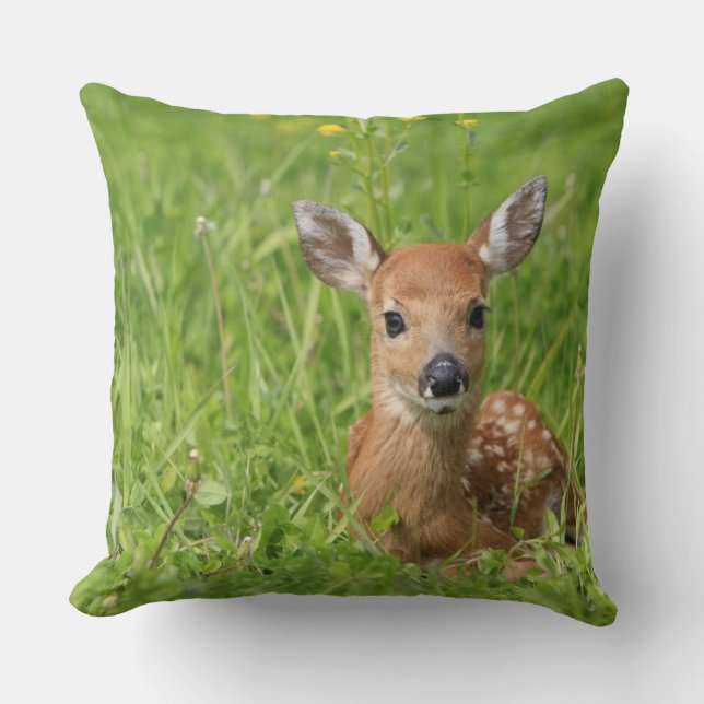 Coussin Faon (Recto)