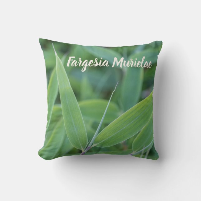 Coussin Fargesia murielae Bamboo plante pour jardiniers ca (Recto)