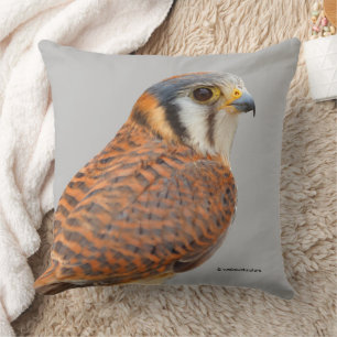 Coussin Faucon étonnant de Kestrel Sparrowhawk américain